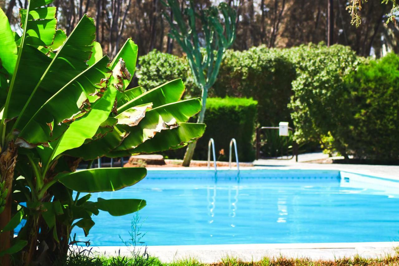 Moon-Light Studio Hotel Larnaca Buitenkant foto